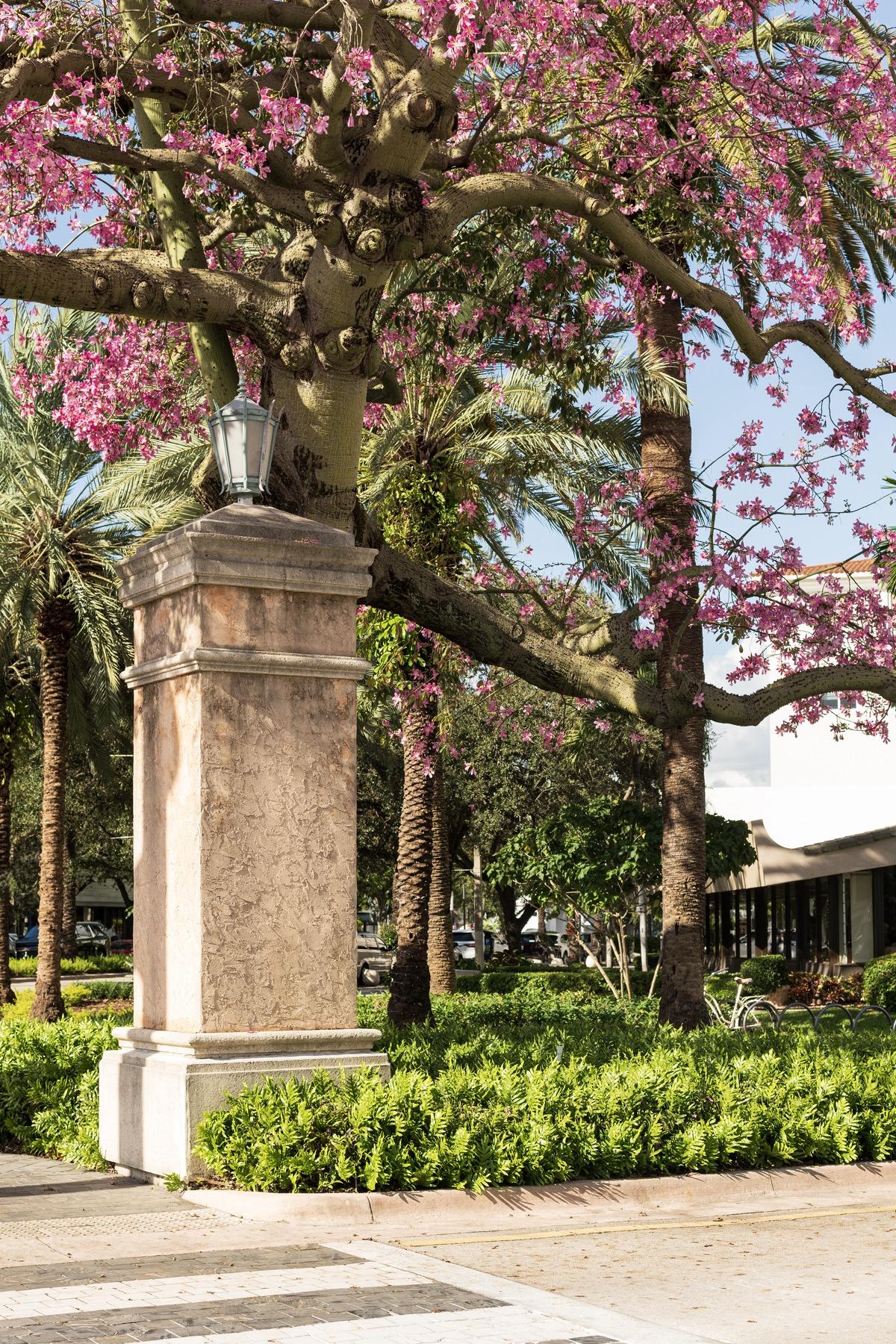 Vecindario de Coral Gables alrededor de Cora Merrick Park cerca de los Shops at Merrick Park