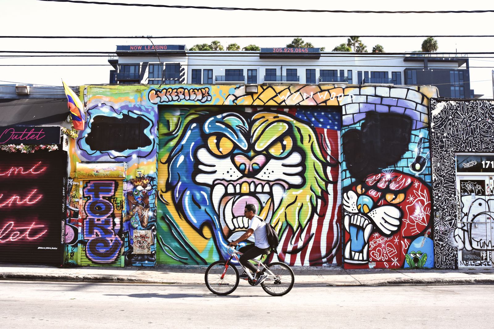 Cyclist passing a painted wall on a Wynwood Miami street