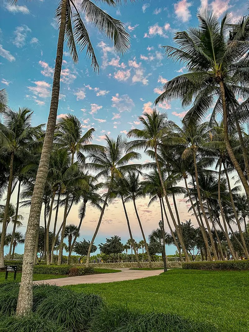 North Beach palm-lined walkways near NoBe Parc Miami Beach