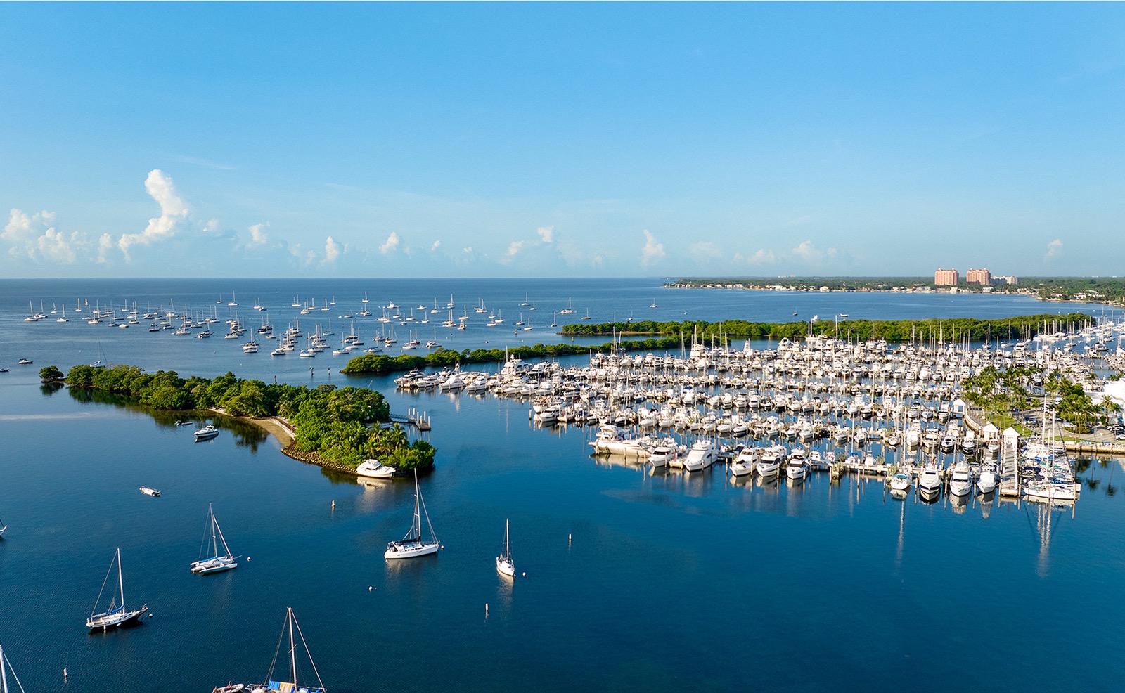 Aerial view of Coconut Grove tree canopy and Biscayne Bay near THE WELL Coconut Grove