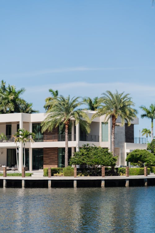 Waterfront luxury home with palm trees on a Miami bayfront, representing the cash, international, and retiree buyers who keep Miami's luxury demand steady year-round