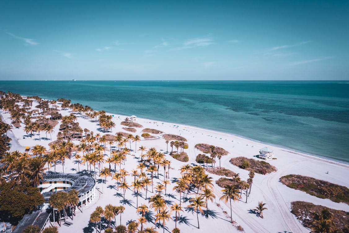 Aerial view of Key Biscayne palm-lined beach and turquoise Atlantic water in Miami