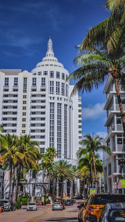 A Miami Beach Art Deco luxury condo tower on Collins Avenue framed by palms, in the oceanfront market leading 2026 demand