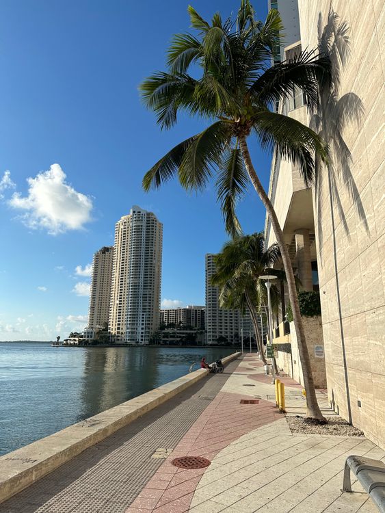 Waterfront promenade beside Miami condo towers, contrasting boutique scale with the large-tower skyline