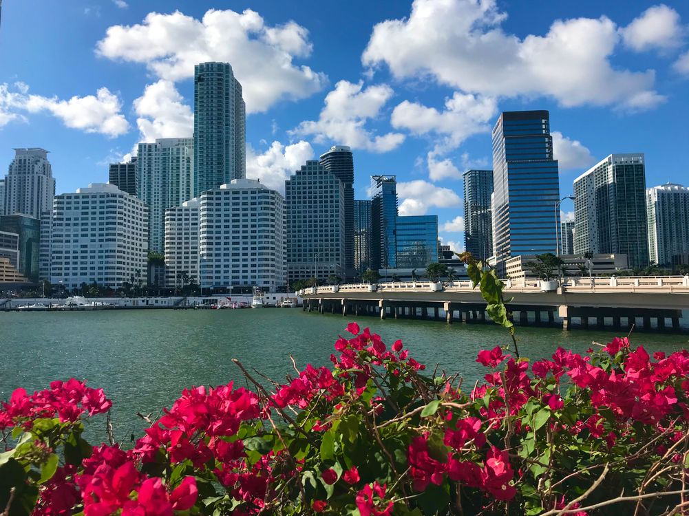 Brickell Miami condo towers from Biscayne Bay reflecting deep luxury listing inventory in 2026