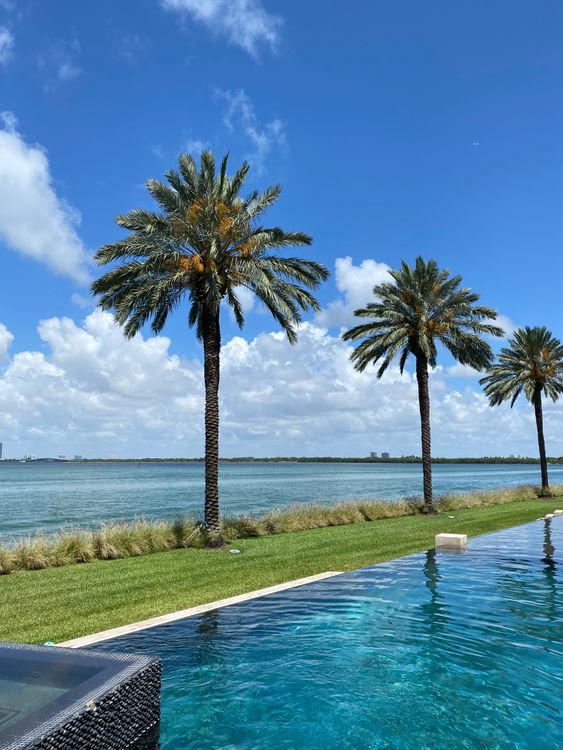 Infinity pool and palm terrace overlooking Biscayne Bay at a Miami waterfront estate