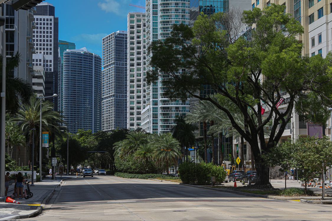 Brickell Avenue in Miami lined with residential towers and palm trees at street level