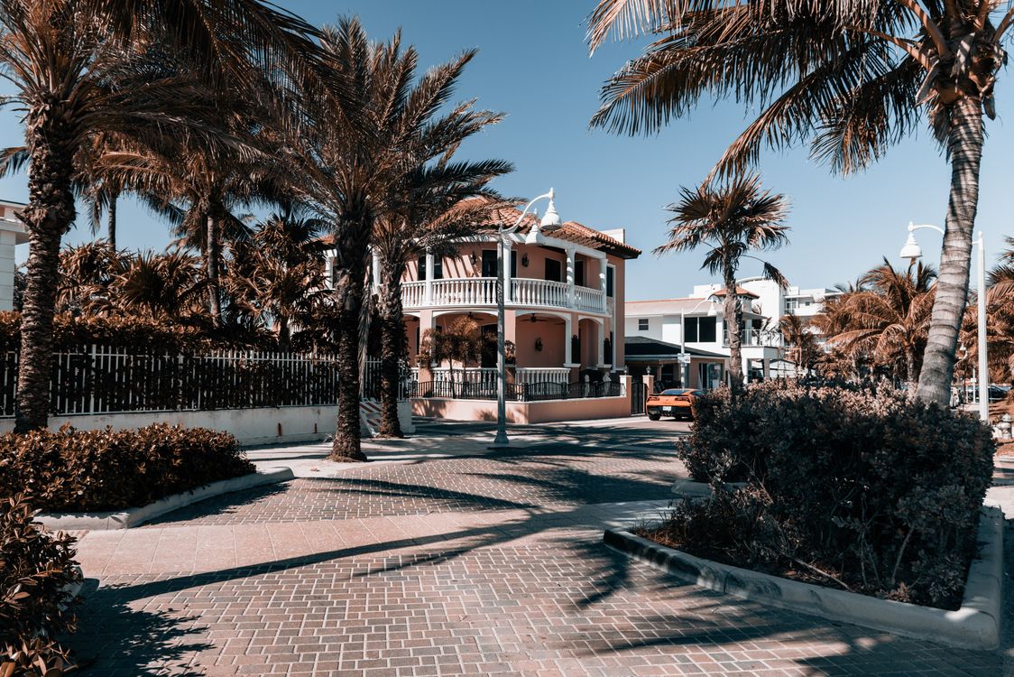 Low-rise residential street with palm trees off A1A in Hollywood Beach, Florida