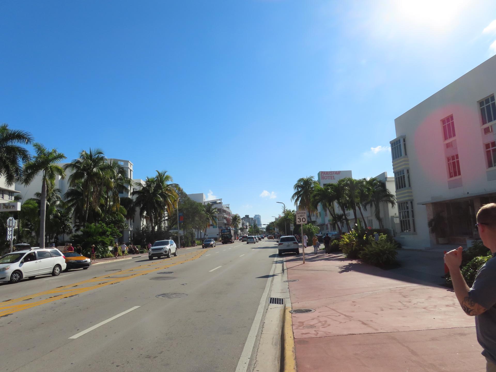 Collins Avenue in the South Beach Art Deco district lined with palm trees and historic hotels in Miami Beach