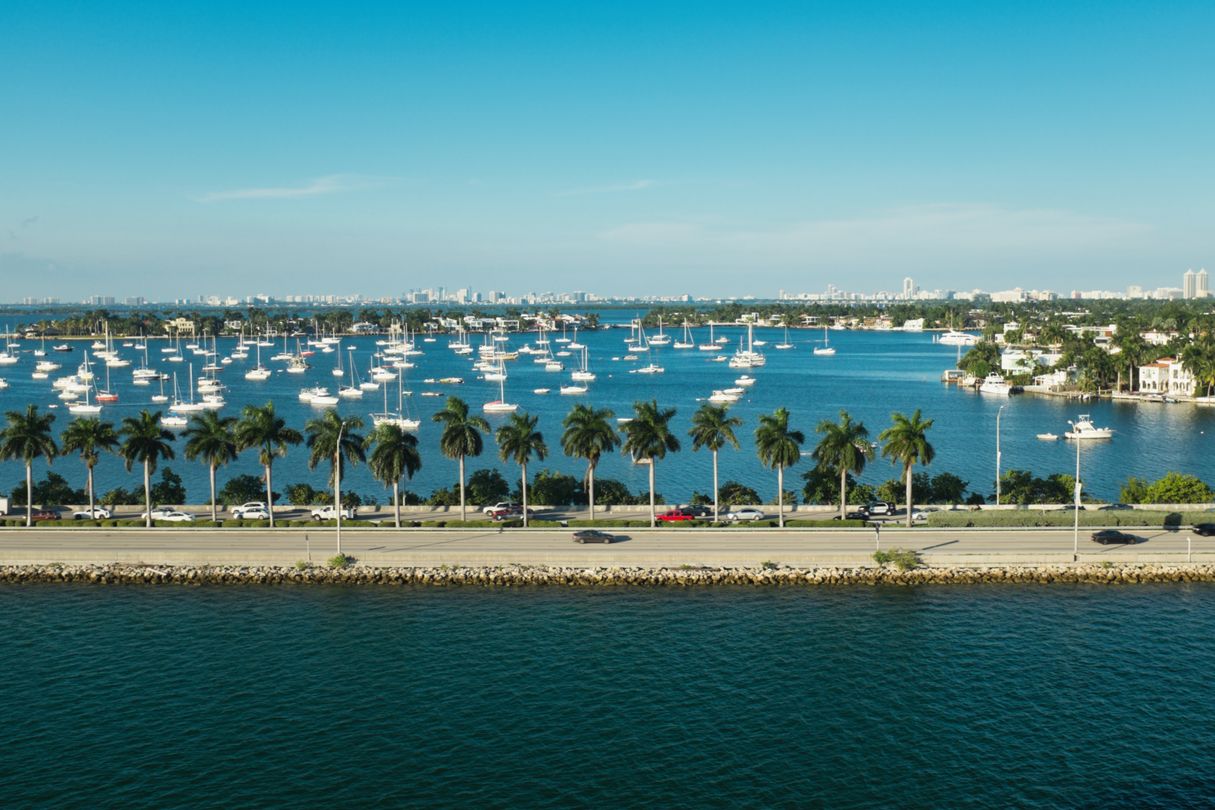Biscayne Bay near Coconut Grove Miami dotted with moored sailboats and a palm-lined waterfront, with a distant skyline