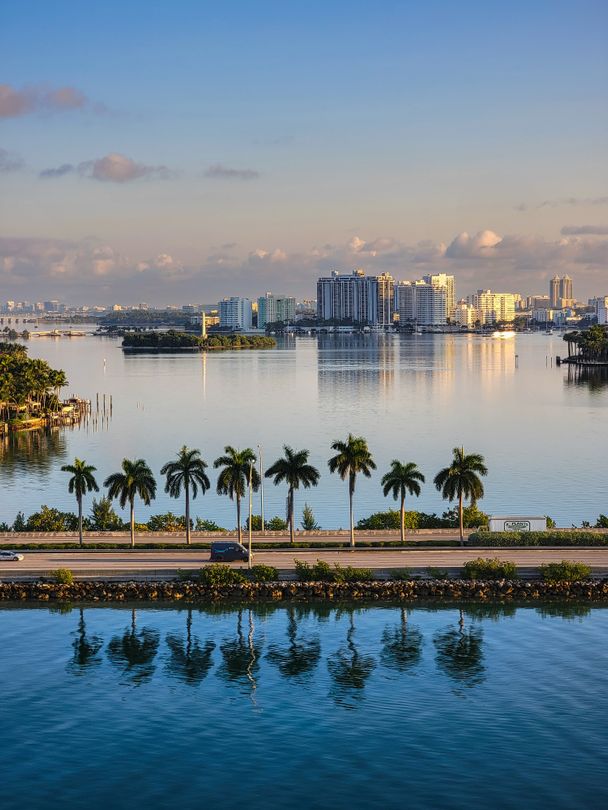 Palm-lined Coconut Grove style bayfront drive at sunrise with a calm Biscayne Bay, a distant low-rise skyline, and mirror-like water reflections