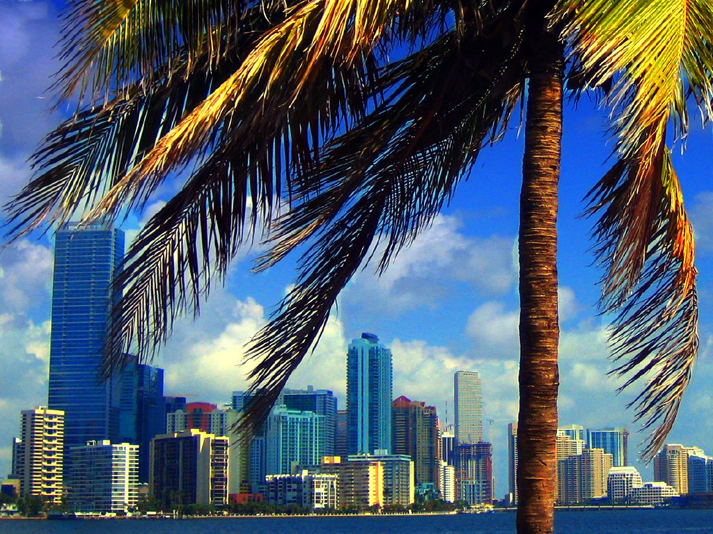 Brickell and downtown Miami waterfront skyline framed by a palm over Biscayne Bay