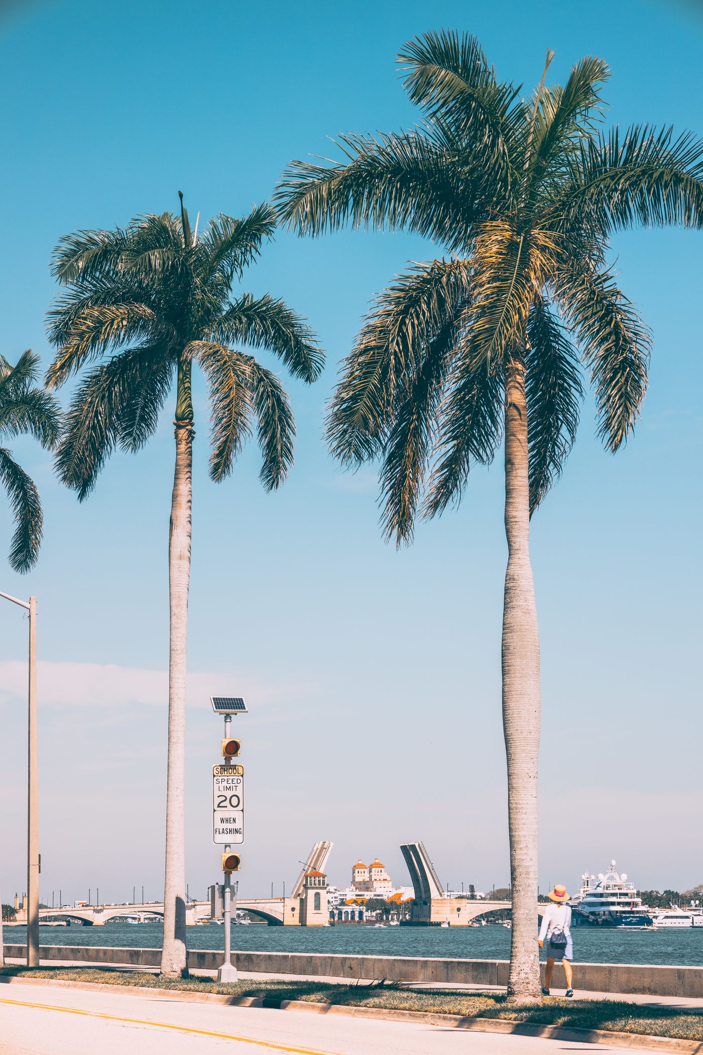 Palm-lined waterfront promenade in West Palm Beach