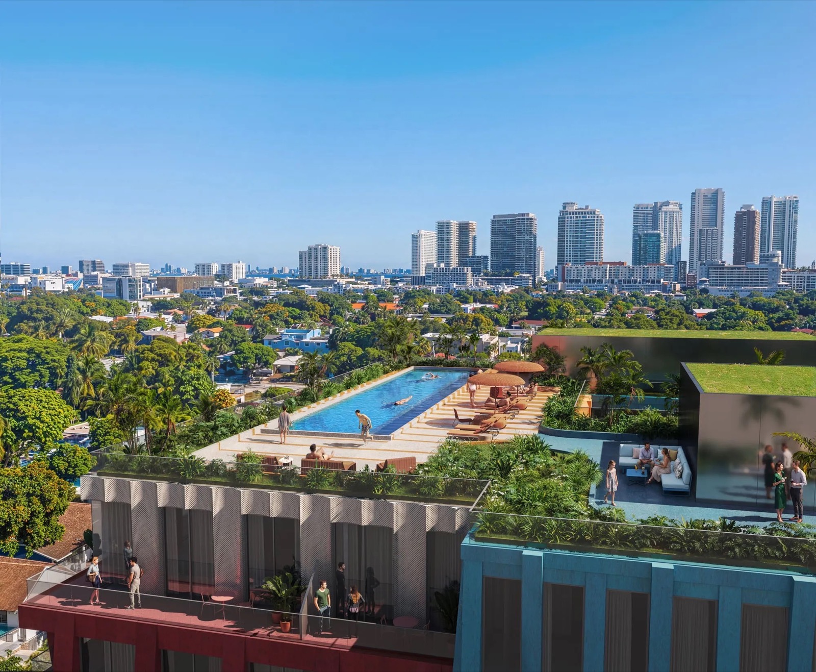 Rendering of the semi-Olympic rooftop pool at WOMA Wynwood in Wynwood Norte, Miami